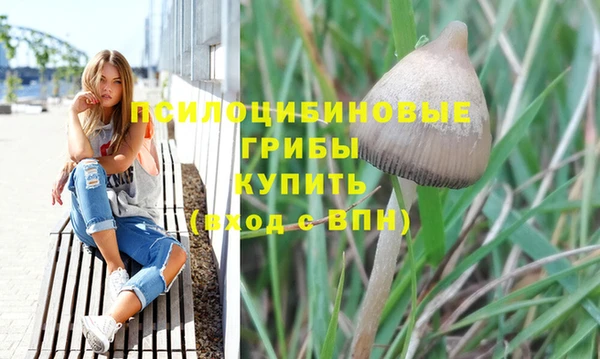 мдпв Лабытнанги