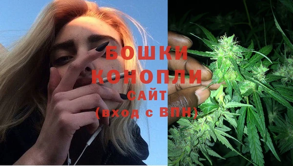 мдпв Лабытнанги
