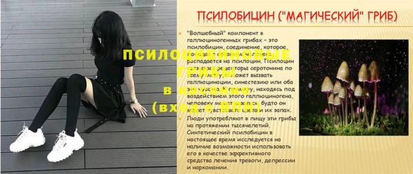 мдпв Лабытнанги