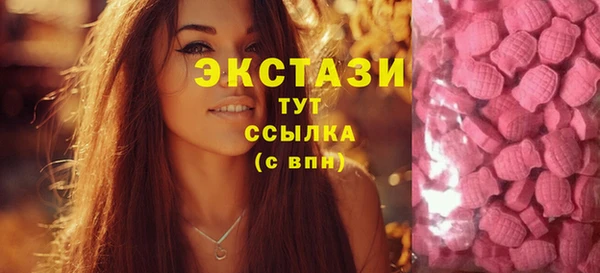 мдпв Лабытнанги