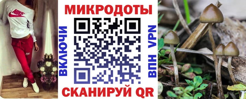 Псилоцибиновые грибы MAGIC MUSHROOMS  Купить закладки  Ладушкин 